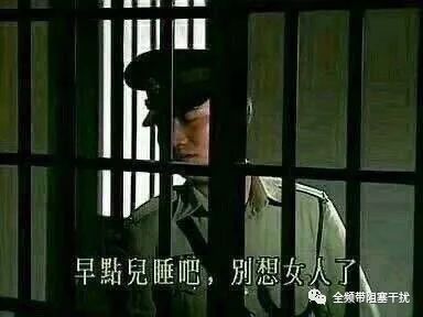 特勤局手册 | 毒品、军火、爆炸物、武装人员偷运的克星 特勤局手册 | 毒品、军火、爆炸物、武装人员偷运的克星
