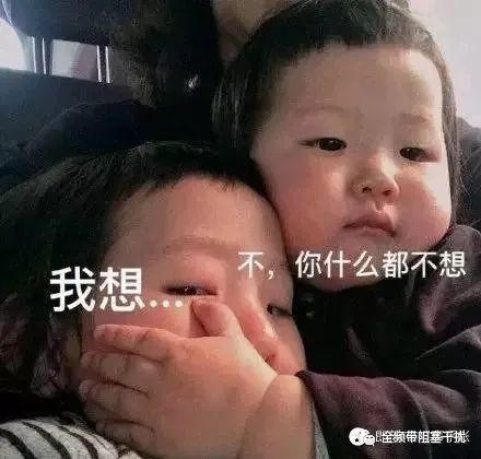 特勤局手册 | 毒品、军火、爆炸物、武装人员偷运的克星 特勤局手册 | 毒品、军火、爆炸物、武装人员偷运的克星