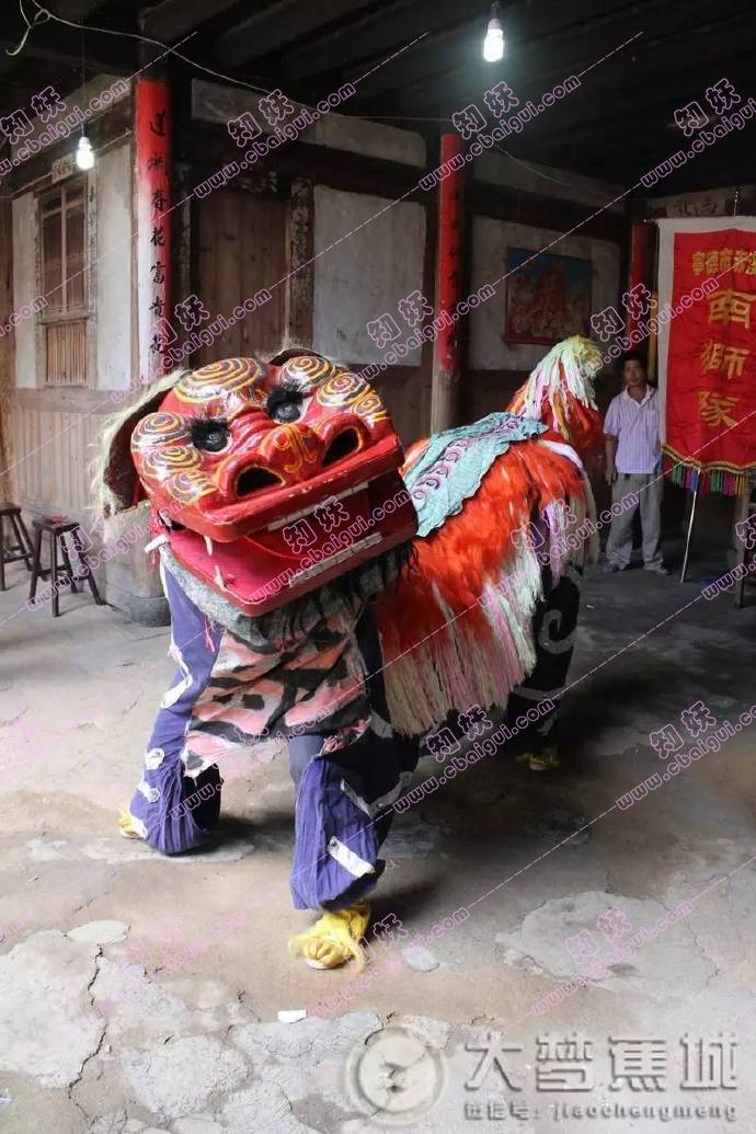 舞狮 舞狮