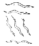 九虫 九虫