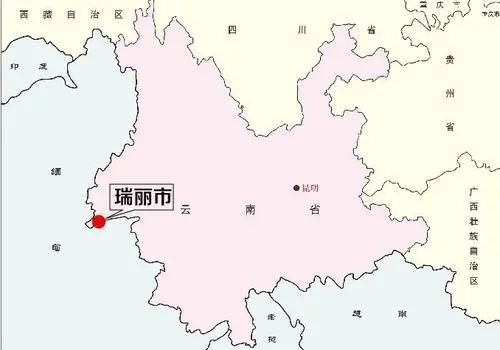 云南瑞丽疫情舆情分析报告