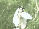 玉皇大帝住在平流层还是对流层?白素贞飞行时为啥手往前伸?答案不简单 玉皇大帝住在平流层还是对流层?白素贞飞行时为啥手往前伸?答案不简单