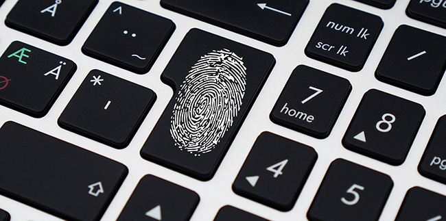fingerprint.jpg
