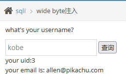 pikachu靶场-Sql Inject(SQL注入)-宽字节注入 - 作者:知非知非知非