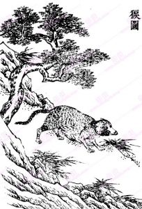 𤟑-安全小百科