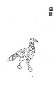 钦䲹-安全小百科