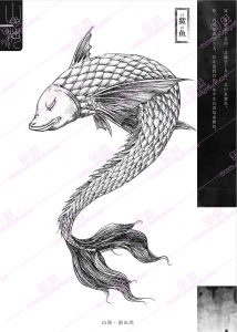 鮆鱼-安全小百科