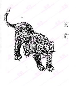 玄虎-安全小百科