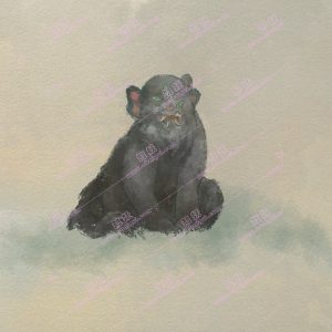 四耳五眼兽-安全小百科