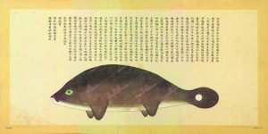 懒妇鱼(奔䱐)-安全小百科