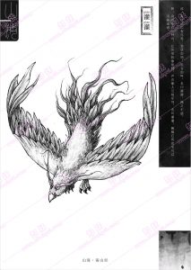 灌灌-安全小百科