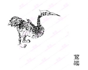 鵹鹕-安全小百科