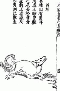 酋耳-安全小百科