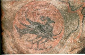 三足乌（金乌）-安全小百科