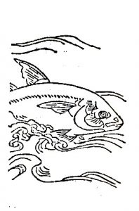 王鲔-安全小百科