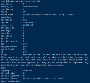 Linux VPS搭建KMS Office Windows 激活程序-安全小百科