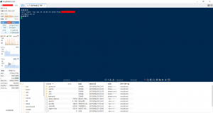 FinalShell一款融合SSH,FTP,系统监控,等强大功能的连接工具-安全小百科