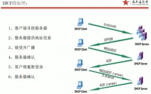 Centos-DHCP、FTP和DNS搭建与配置-安全小百科