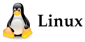 Linux Debian 11 网络设置: 更换硬件后网卡不同,不能分配IP修复-安全小百科