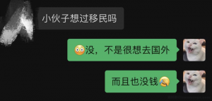 出中国记（上）-安全小百科