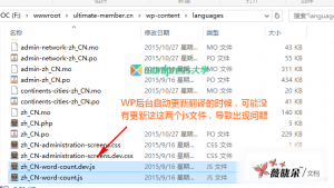 解决 WordPress 升级后摘要输出全文？wp_trim_words() 失效？-安全小百科
