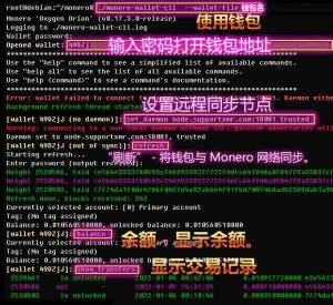 更加安全使用的隐私数字货币钱包_Linux命令行使用钱包-安全小百科