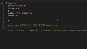 VS Code 代码格式化  使用 快捷键 Shift+Alt+F 使用Run Code运行会更加方便-安全小百科