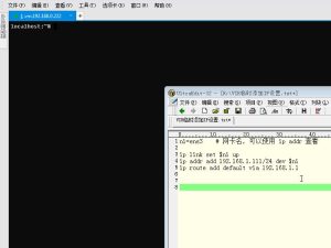 安全小百科-Linux临时添加IP设置: 简单视频演示