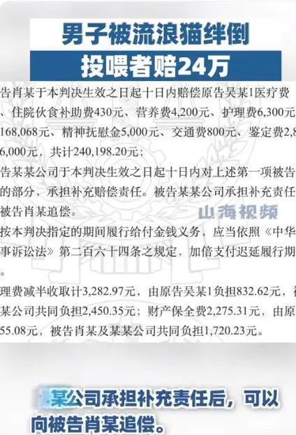 男子打羽毛球被流浪猫绊倒致伤残,判赔24万元 男子打羽毛球被流浪猫绊倒致伤残,判赔24万元