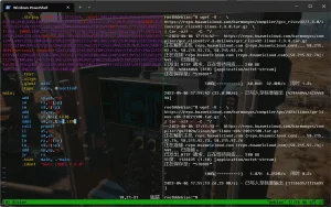 wget 下载不保存文件，直接使用 tar 解压-安全小百科